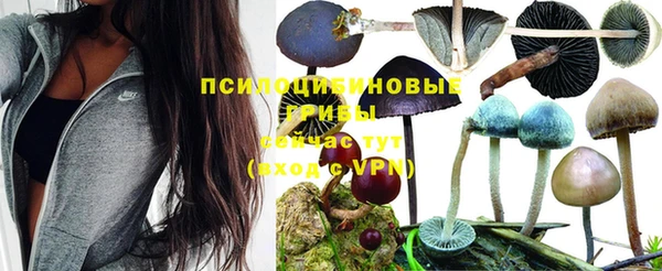 кокаин премиум Арсеньев