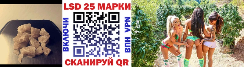 где найти наркотики  Сертолово  Лсд 25 экстази кислота 